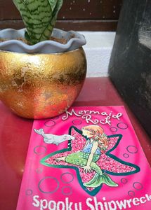 Mermaid Rock : The Magical Shipwreck