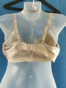 Lavieen rose Comfortable Grey Bra