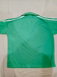Sea Green Adidas Crop Tee
