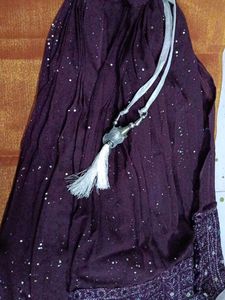 Sparkly Purple top and lehanga skirt set