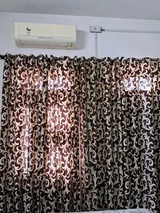 Door  🚪 Elegant Brown & Cream Curtains of 1