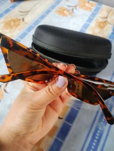 Trendy Tortoiseshell Sunglasses