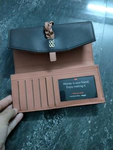 Baggit Purse