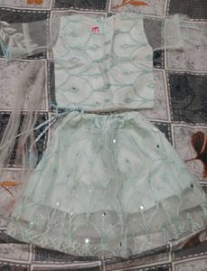 Sparkling Mint Green Lehenga Choli Set