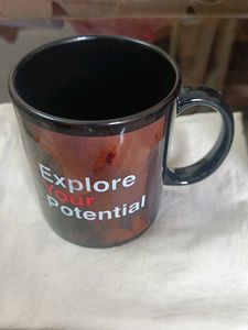 Brand New Milk/Coffee Mugs Bone China With Box