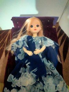 Collectible korean fashion doll.