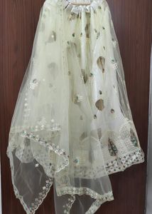 Festive Lehenga Choli set with Net dupatta