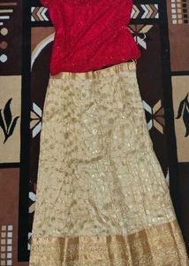 Sparkling Red Sequin Top &amp; Golden Skirt Set