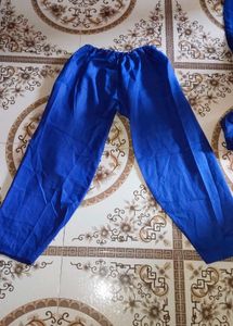 Royal Blue Embroidered Suit with Silver Work