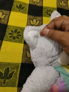 Cute Grey Teddy Bear with Rainbow Dress