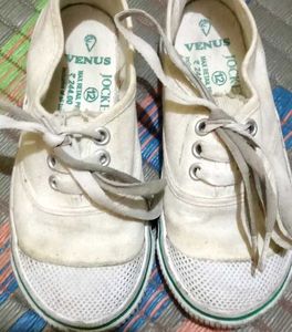 Classic White Canvas Sneakers