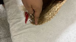 Woven Straw Tote Bag with Tassels