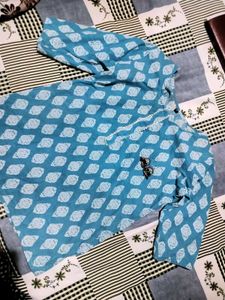 Teal Ethnic Print Kurta