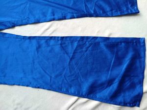 Shein X Blue V-Neck Top