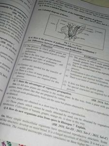 10 Exam Preparation Books Lot, ✨ get free 3 book