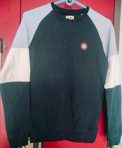 Men's Colorblock Raglan Sweatshirt