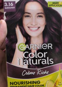 Garnier Color Naturals Hair Colo