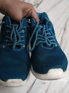 Sparx Men's Teal Sport Shoes