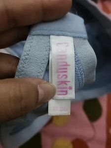 38DD Bra