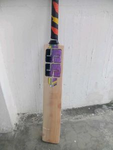 Kashmir Willow Bat Ss Knight Rider Edition