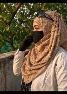 Elegant Embroidered Dupatta