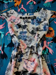 Floral Print Fit &amp; Flare Dress