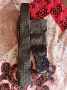 Stylish Tie & Pocket Square Set