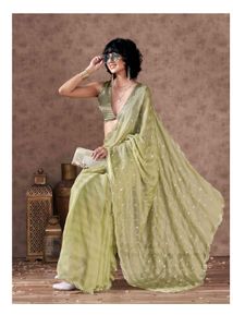 Elegant Light Green Mirror Work Saree