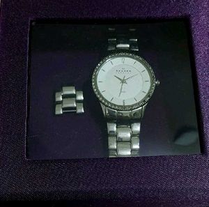 Skagen Denmark Women's Watch Steel