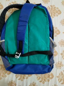 Blue Skybags Backpack