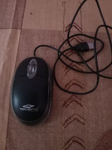 Mouse