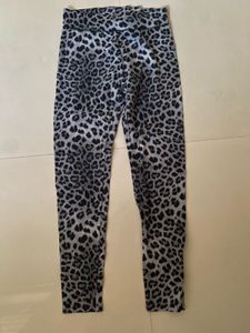 Leopard Print Leggings &amp; Sports Bra Set