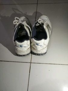 Men's White Sport Shoes