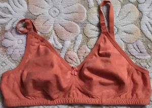 Comfortable Everyday Coral Bra