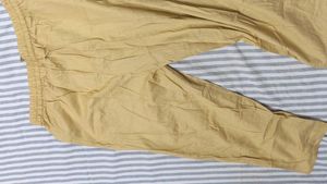 Classic Beige Casual Pants