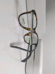 Tortoiseshell Frame Eyeglasses