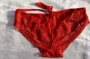 Red Lace Briefs