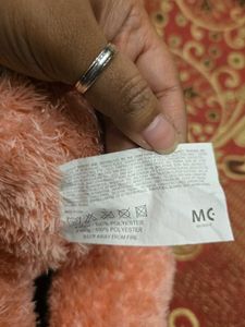 Cute Teddy Bear