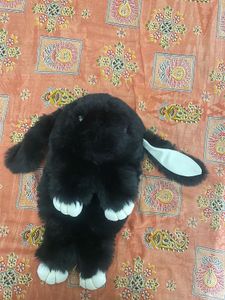 Cute Black Bunny Plush Toy