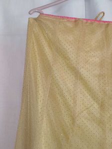 Golden Ethnic Skirt with Sparkle