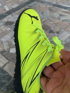 Puma Soccer Cleats