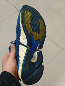 Puma Speed Orbiter Running Shoes with Pro plate