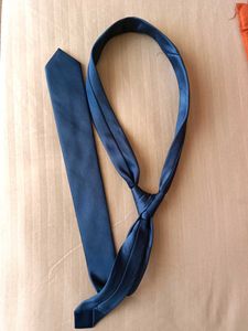 Stylish Blue Necktie