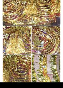 Designer Embellished long mata ka duppata