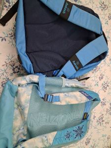 2 Backpacks: Aakash &amp; Frozen Themed