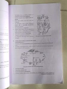 NEET - Biological Classification Notes