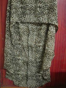 Animal Print Dress