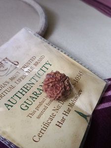 Authentic Rudraksha Pendant