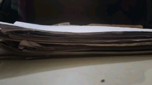 Ntse Test Papers From Aakash Institute