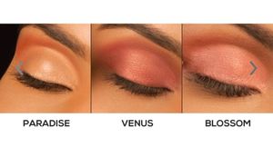 Renee FAB 3-in1 Eyeshadow